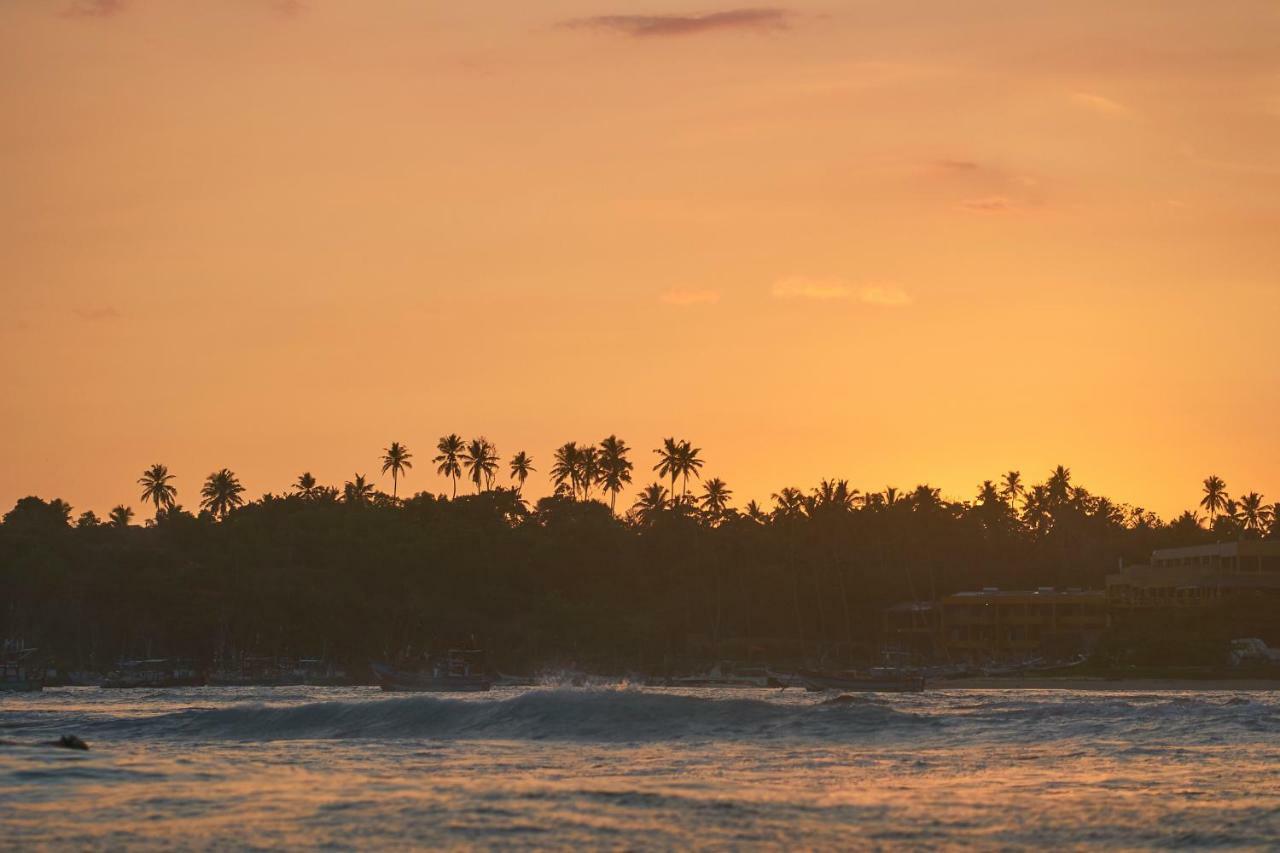 Layback Boutique Surf & Yoga Camp Sri Lanka Hostel Weligama Zewnętrze zdjęcie