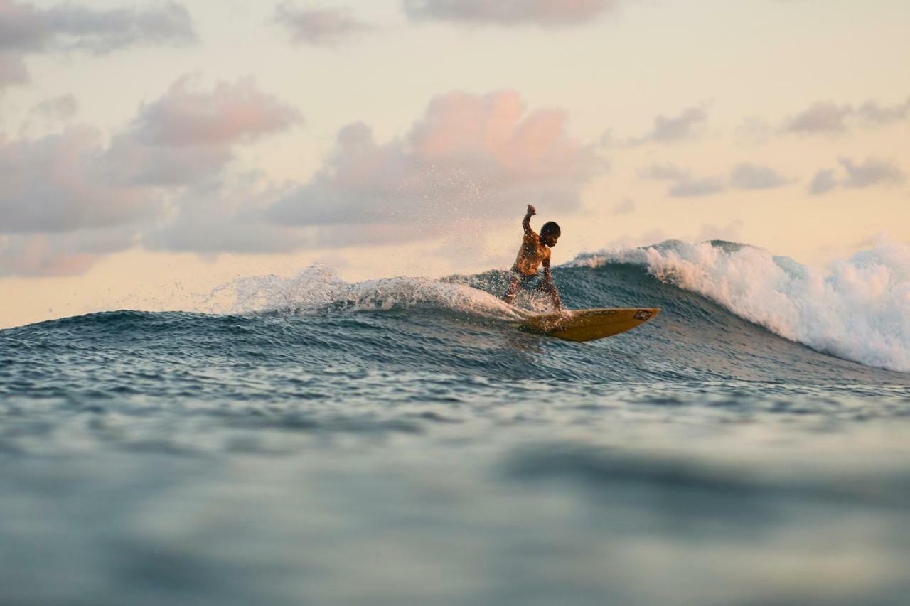 Layback Boutique Surf & Yoga Camp Sri Lanka Hostel Weligama Zewnętrze zdjęcie